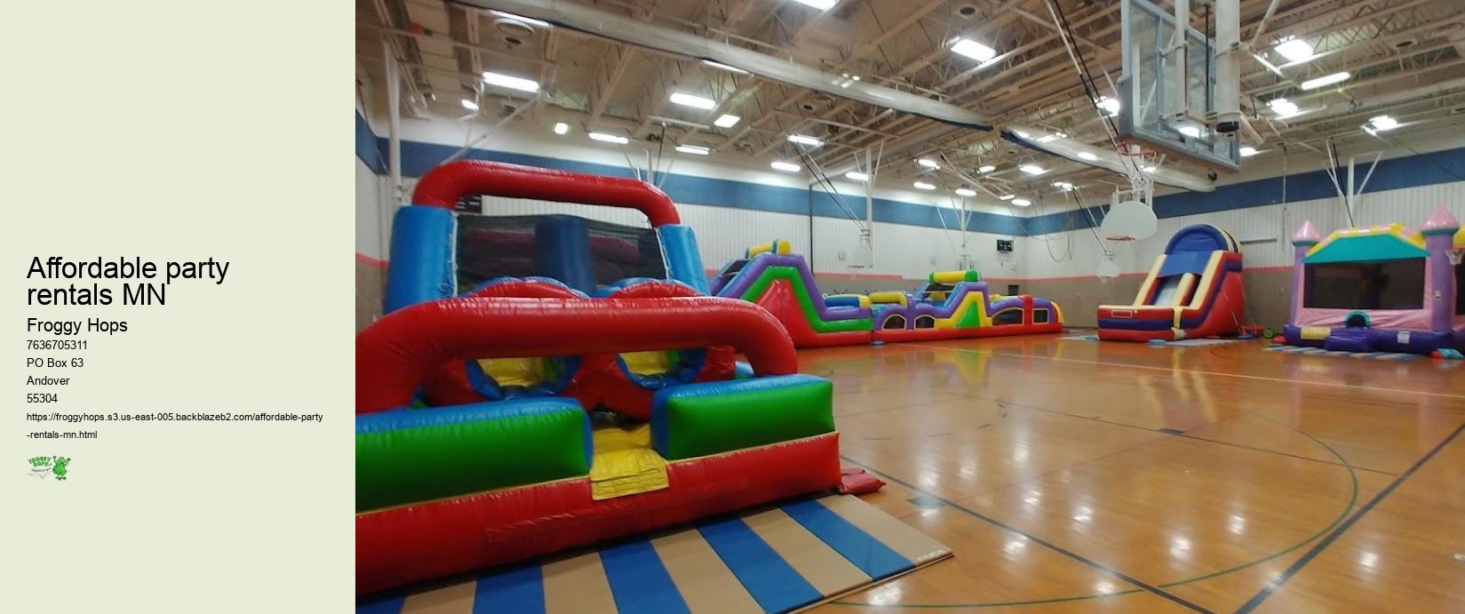 Affordable party rentals MN